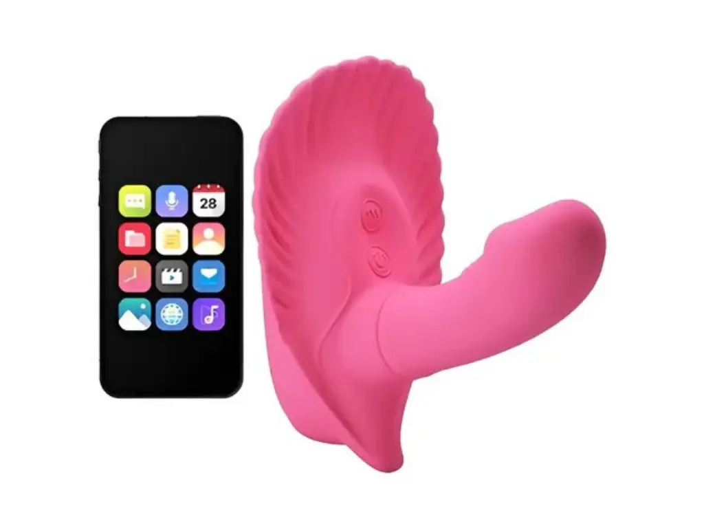 FANCY CLAMSHELL - 10 Vibrations (2).webp