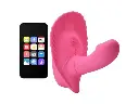 FANCY CLAMSHELL - 10 Vibrations (2).webp