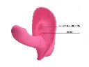 FANCY CLAMSHELL - 10 Vibrations (1).webp
