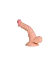 pene-realistico-suave-flesh-19-cm.webp