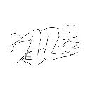 double joy --.webp