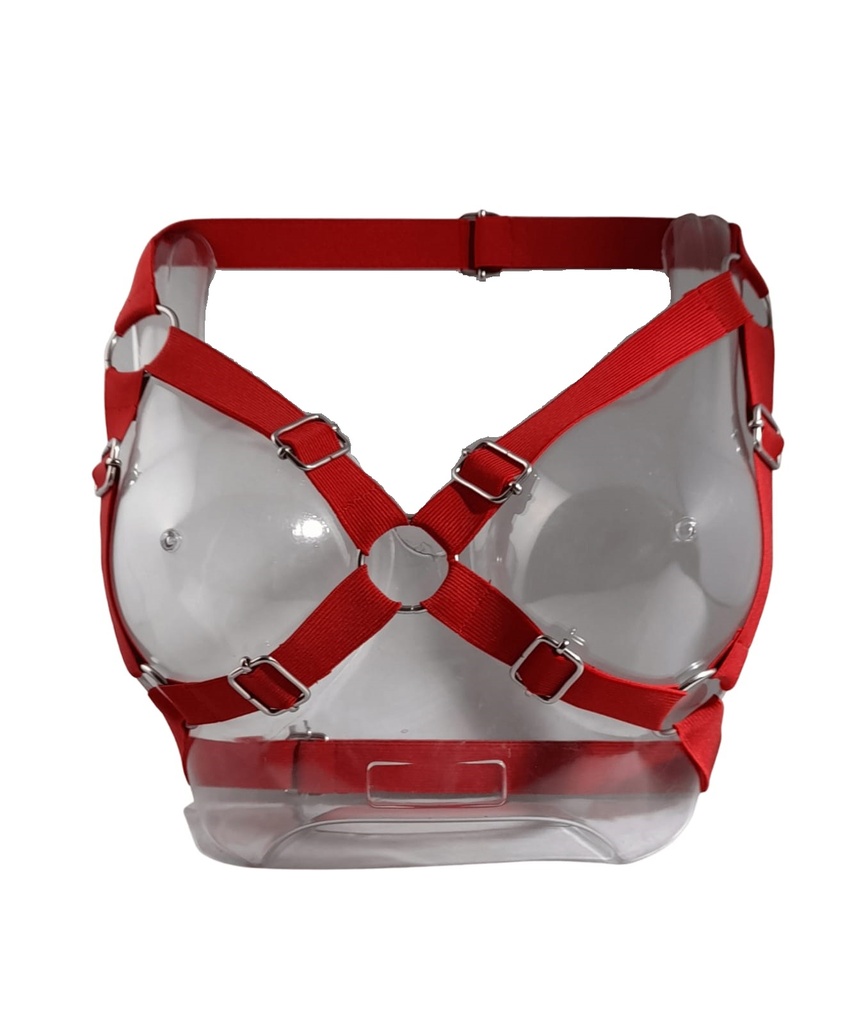 [4B-243] Corpiño Rojo