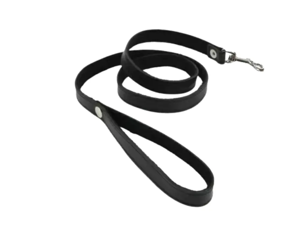 Correa de cuero para collar