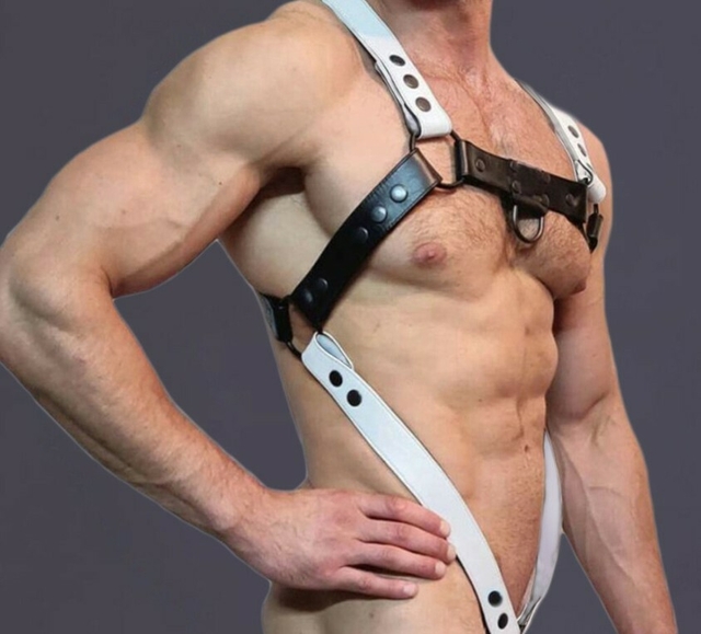 ARNES CON BROCHE Y COCKRING