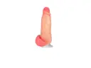 Mini Kong Vertebrado