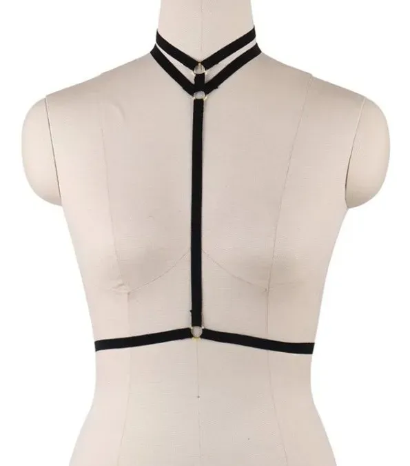 Arnes Para Busto 262