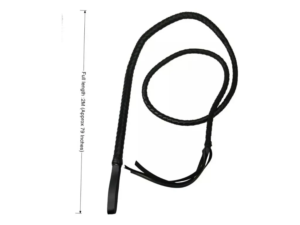 Latigo Negro Trenzado 2M