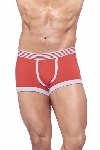 Miniboxer CALVIN ROCKY